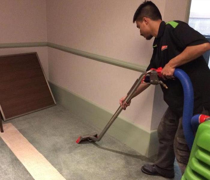 Employee cleaning a carpet. 