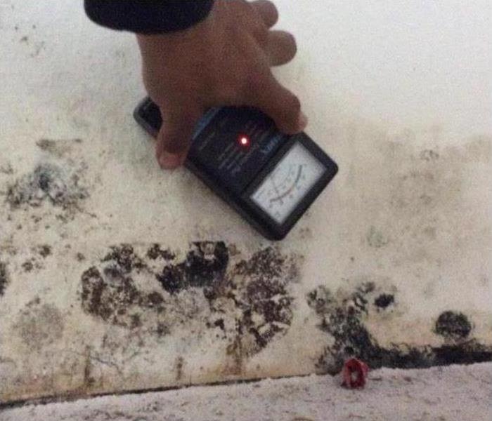 Moisture meter on a wall with mold growth
