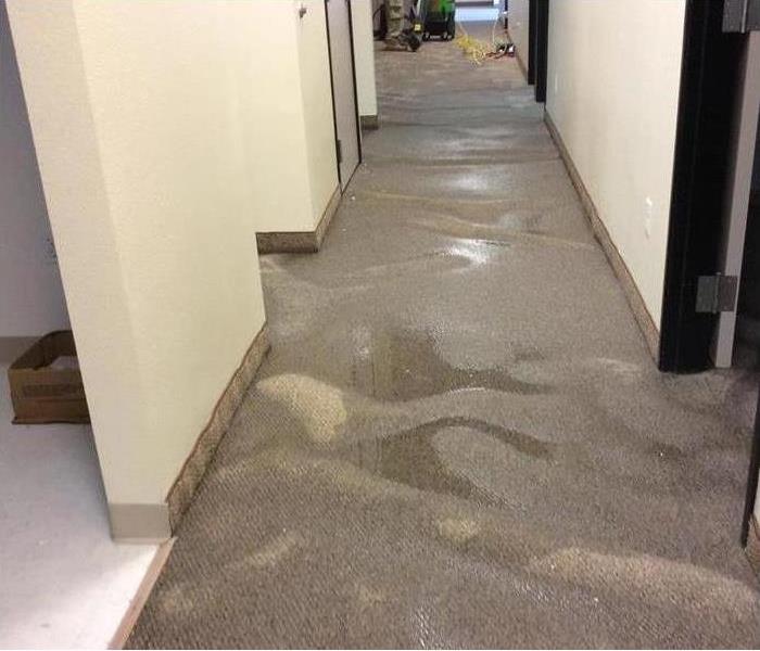 Wet carpet in office building. Storm damage in a commercial buiding