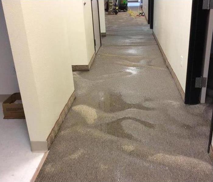 Wet carpet in a hallway of an office