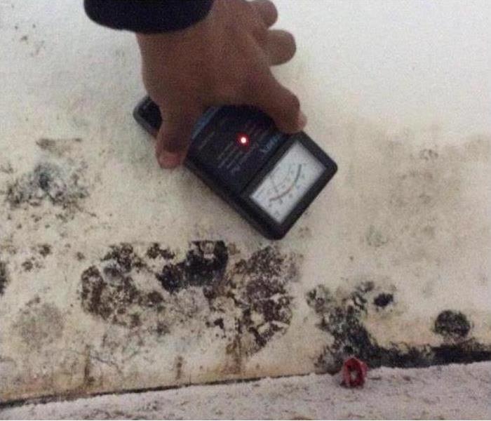 Someones hand holding a moisture meter on a wall, the wall is covered with black mold