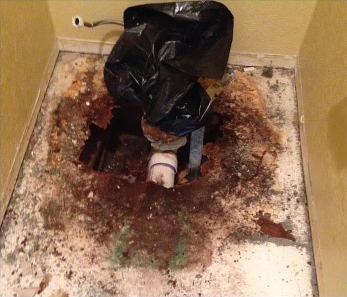 Degraded seal under the toilet with mold growth